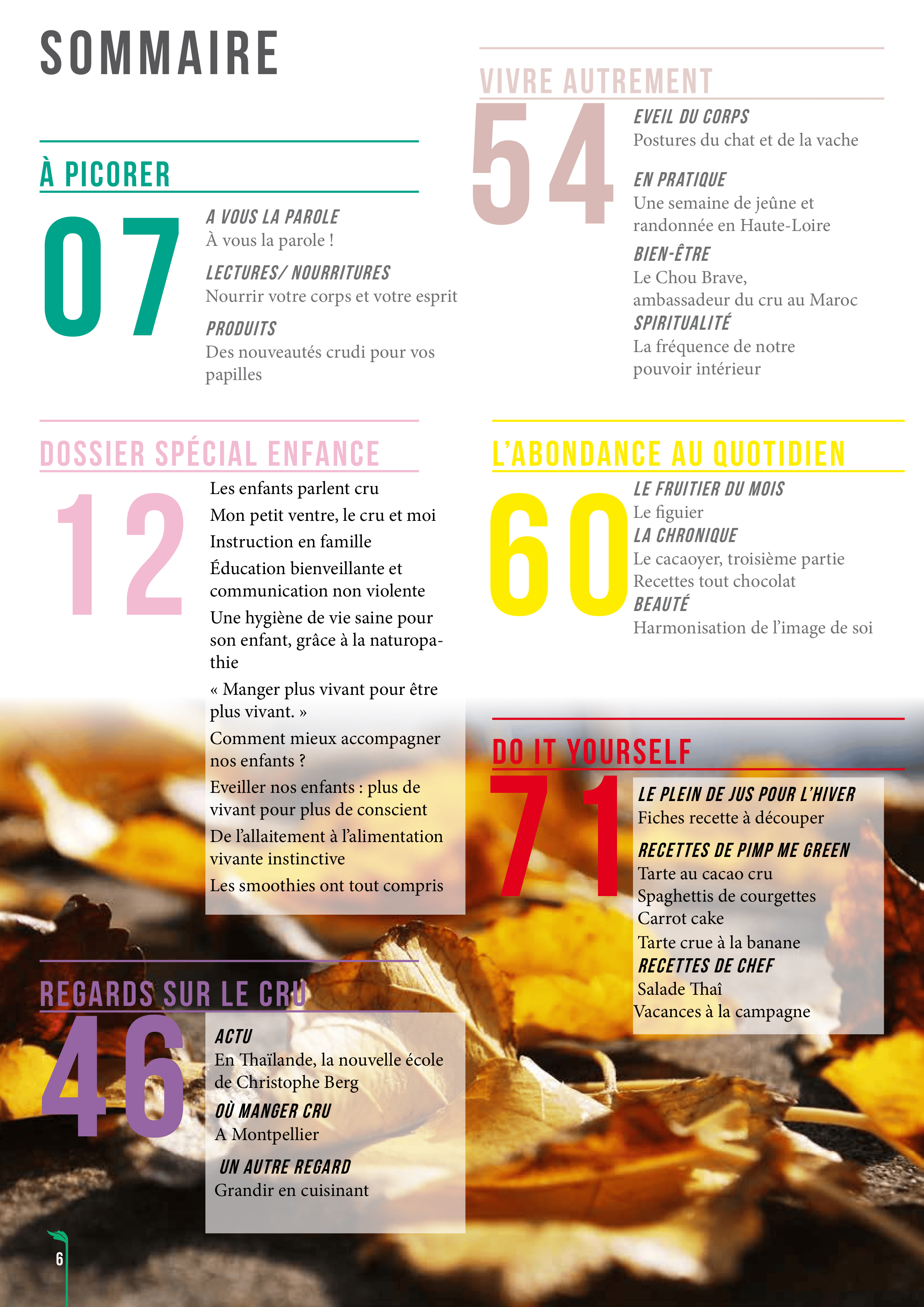 Sommaire de MAG 21